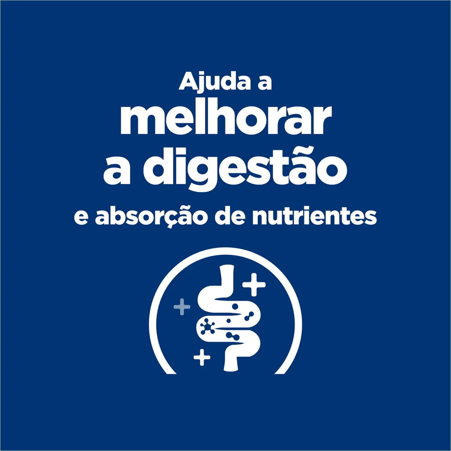 Melhora a Digestao.webp